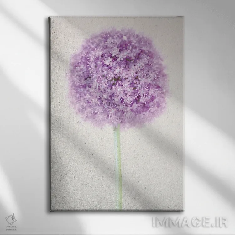 تابلو دکوراتیو گل آلیوم پاستلی اثر آلیسون فنل - نمای روبهرو روی دیوار