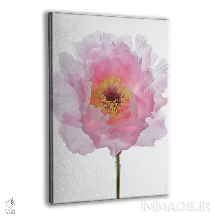 تابلو مدرن گل صدتومانی درختی صورتی اثر آلیسون فنل - نمای پرسپکتیو محصول