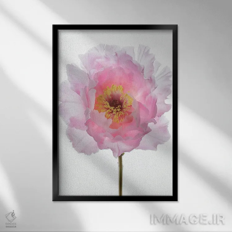 تابلو مدرن گل صدتومانی درختی صورتی اثر آلیسون فنل - نمای قابدار مشکی