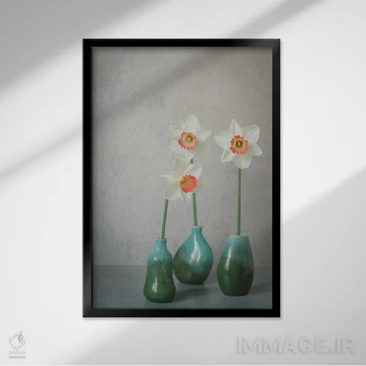 تابلو دکوراتیو نرگس چارم صورتی اثر آلیسون فنل - نمای قابدار مشکی
