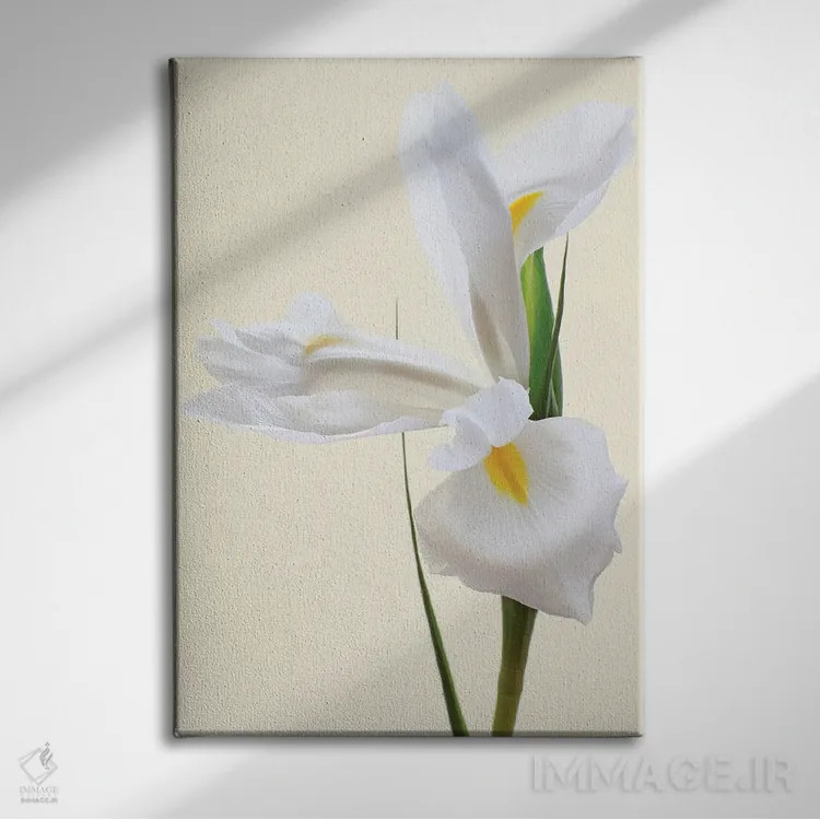تابلو دکوراتیو گل زنبق سفید اثر آلیسون فنل - نمای روبهرو روی دیوار