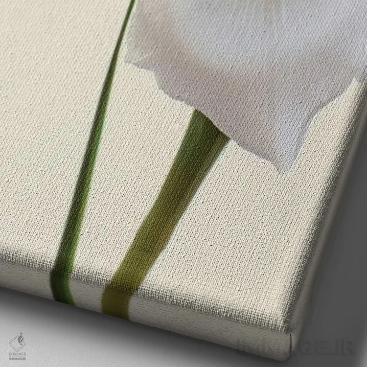 تابلو دکوراتیو گل زنبق سفید اثر آلیسون فنل - نمای نزدیک بافت بوم