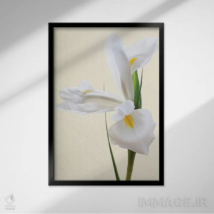 تابلو دکوراتیو گل زنبق سفید اثر آلیسون فنل - نمای قابدار مشکی