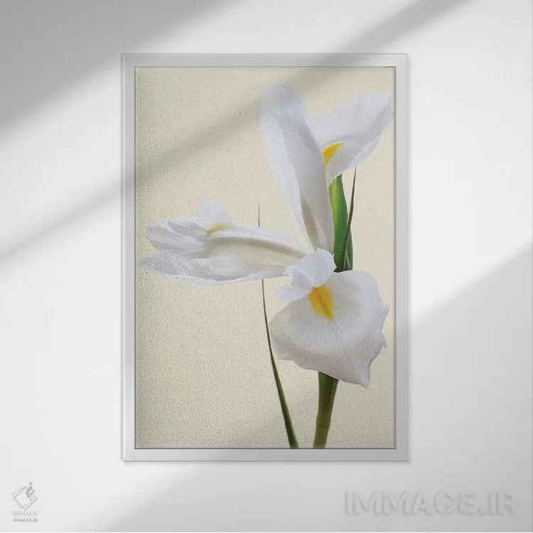 تابلو دکوراتیو گل زنبق سفید اثر آلیسون فنل - نمای قابدار سفید