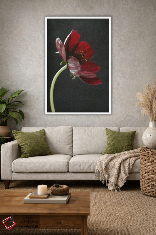 تابلو دکوراتیو گل شکلاتی کاسموس یکم اثر آلیسون فنل - D1W