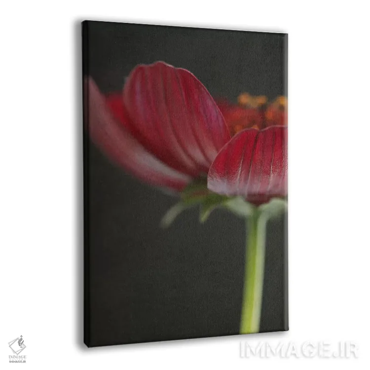 تابلو دکوراتیو گل کیهان شکلاتی ۲ اثر آلیسون فنل - نمای پرسپکتیو محصول