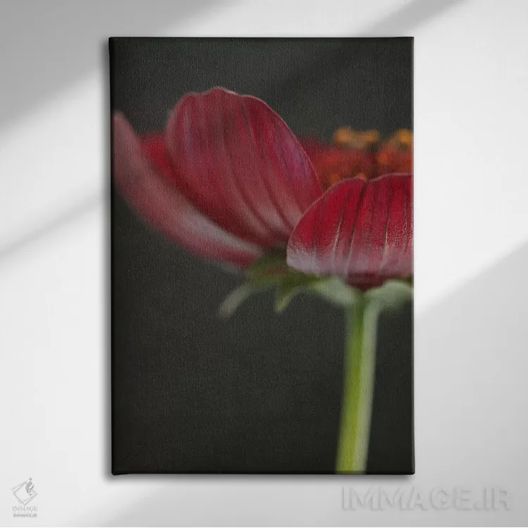 تابلو دکوراتیو گل کیهان شکلاتی ۲ اثر آلیسون فنل - نمای روبهرو روی دیوار