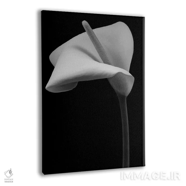 تابلو دکوراتیو گل زنبق آرم اثر آلیسون فنل - نمای پرسپکتیو محصول