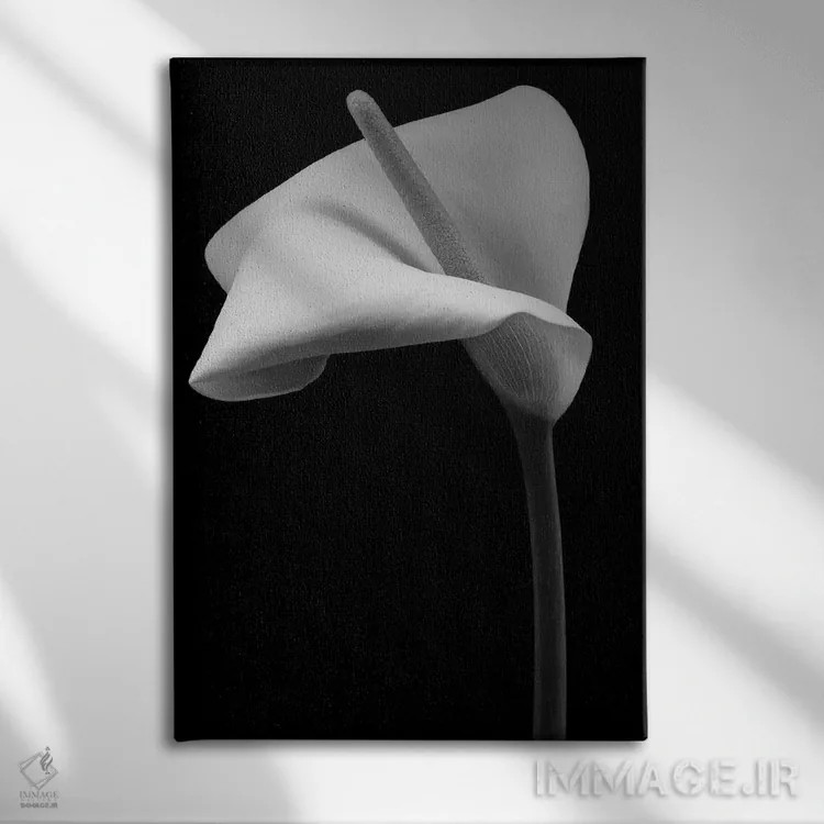 تابلو دکوراتیو گل زنبق آرم اثر آلیسون فنل - نمای روبهرو روی دیوار