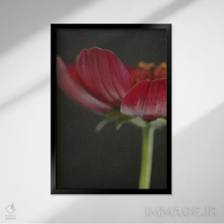 تابلو دکوراتیو گل کیهان شکلاتی ۲ اثر آلیسون فنل - نمای قابدار مشکی