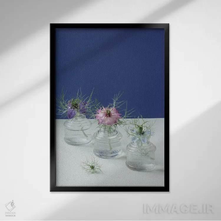 تابلو دکوراتیو طبیعت بی جان گل های نایجلا اثر آلیسون فنل - نمای قابدار مشکی