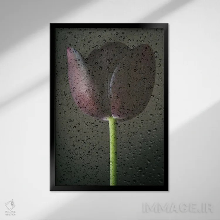 تابلو دکوراتیو لاله سیاه و قطرات باران اثر آلیسون فنل - نمای قابدار مشکی