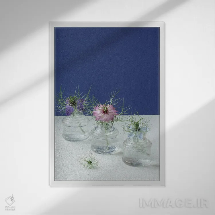 تابلو دکوراتیو طبیعت بی جان گل های نایجلا اثر آلیسون فنل - نمای قابدار سفید