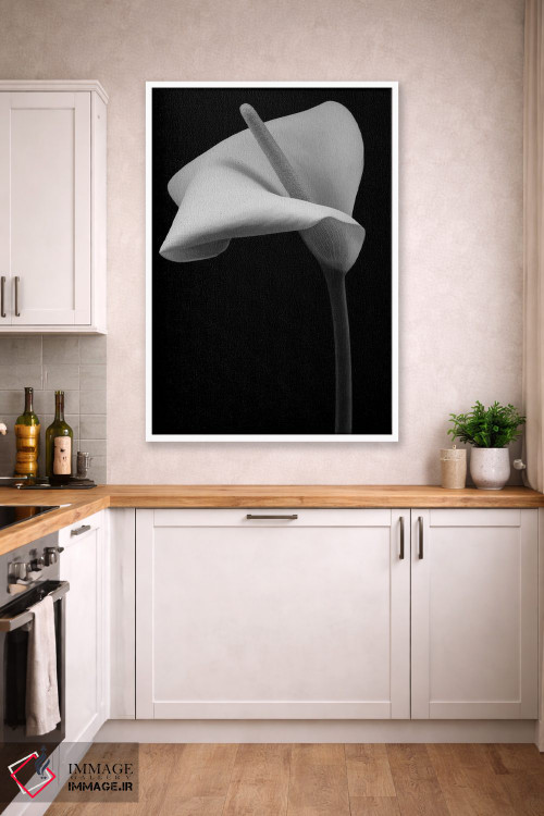 تابلو دکوراتیو گل زنبق آرم اثر آلیسون فنل - D3W