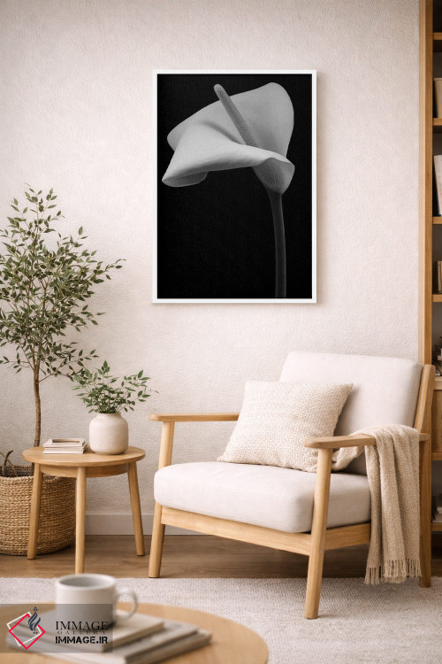 تابلو دکوراتیو گل زنبق آرم اثر آلیسون فنل - D5W