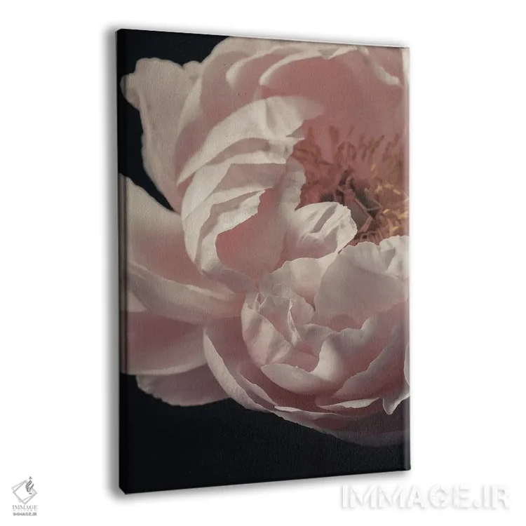 تابلو دکوراتیو گل صدتومانی مرجانی اثر آلیسون فنل - نمای پرسپکتیو محصول