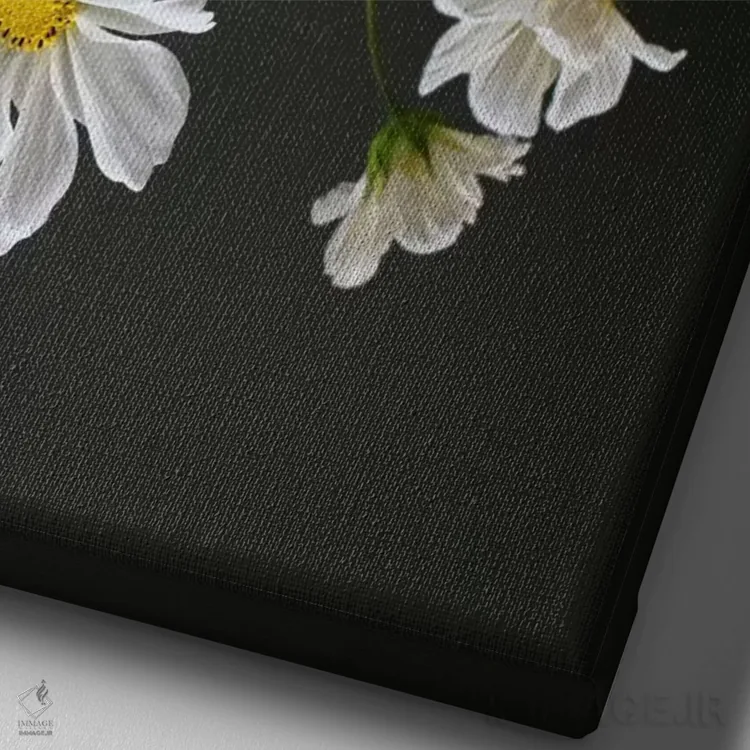 تابلو دکوراتیو بازتاب گل کیهان اثر آلیسون فنل - نمای نزدیک بافت بوم