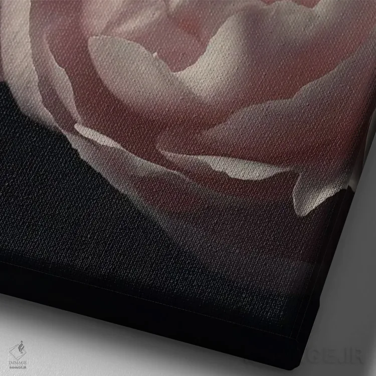 تابلو دکوراتیو نمای نزدیک صدتومانی صورتی کمرنگ اثر آلیسون فنل - نمای نزدیک بافت بوم