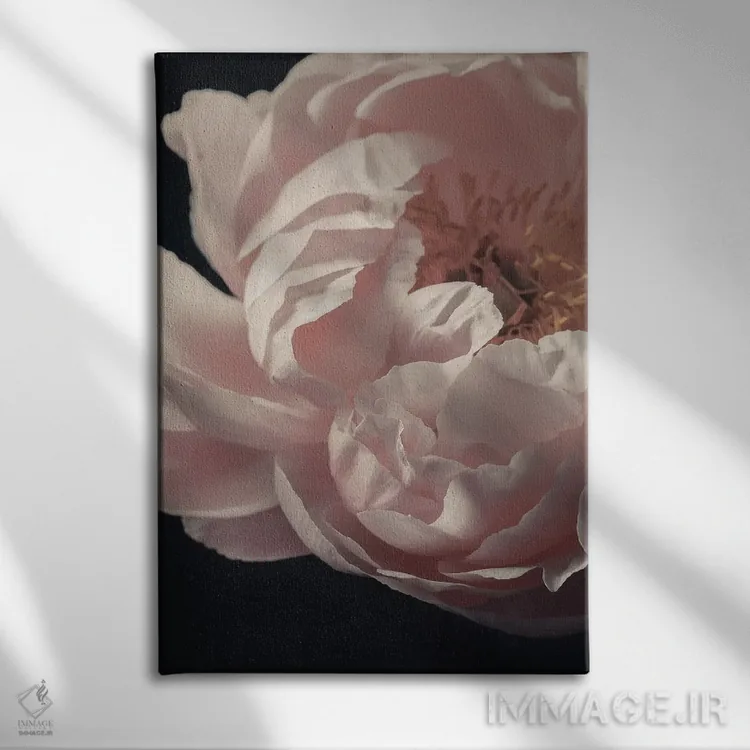 تابلو دکوراتیو گل صدتومانی مرجانی اثر آلیسون فنل - نمای روبهرو روی دیوار