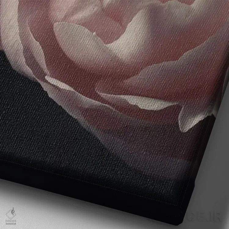 تابلو دکوراتیو گل صدتومانی مرجانی اثر آلیسون فنل - نمای نزدیک بافت بوم