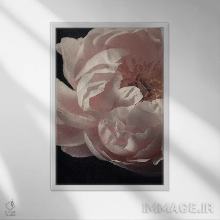 تابلو دکوراتیو نمای نزدیک صدتومانی صورتی کمرنگ اثر آلیسون فنل - نمای قابدار سفید