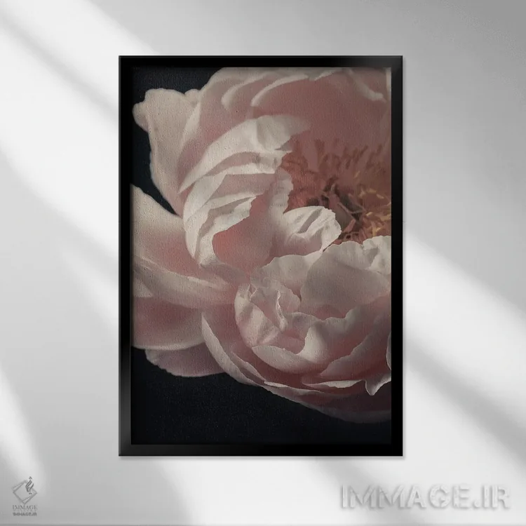 تابلو دکوراتیو گل صدتومانی مرجانی اثر آلیسون فنل - نمای قابدار مشکی