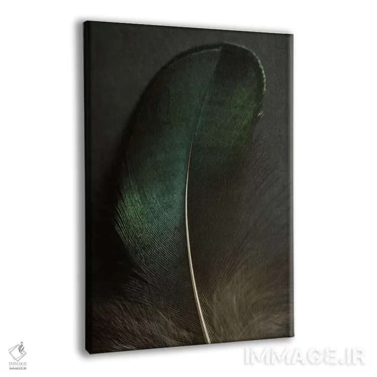 تابلو دکوراتیو نمای نزدیک پر طاووس سبز اثر آلیسون فنل - نمای پرسپکتیو محصول