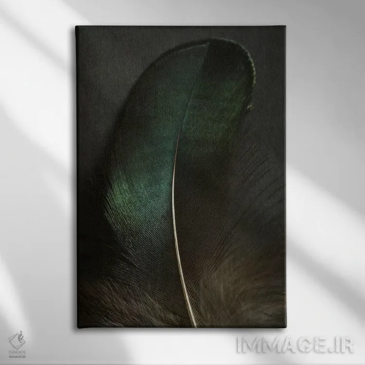 تابلو دکوراتیو نمای نزدیک پر طاووس سبز اثر آلیسون فنل - نمای روبهرو روی دیوار