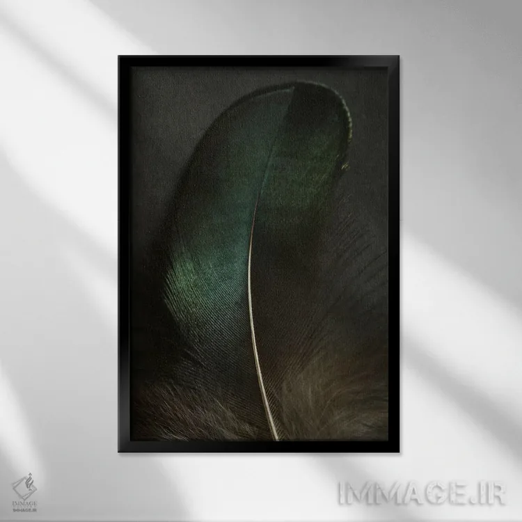 تابلو دکوراتیو نمای نزدیک پر طاووس سبز اثر آلیسون فنل - نمای قابدار مشکی