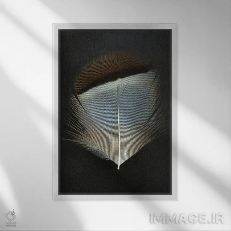 تابلو دکوراتیو پر کبک فرانسوی اثر آلیسون فنل - نمای قابدار سفید