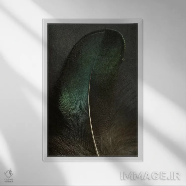 تابلو دکوراتیو نمای نزدیک پر طاووس سبز اثر آلیسون فنل - نمای قابدار سفید