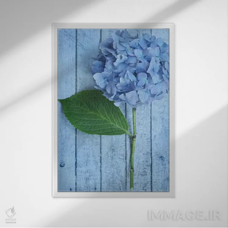 تابلو دکوراتیو ادریسی آبی پودری اثر آلیسون فنل - نمای قابدار سفید