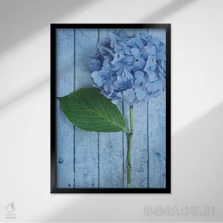 تابلو دکوراتیو ادریسی آبی پودری اثر آلیسون فنل - نمای قابدار مشکی
