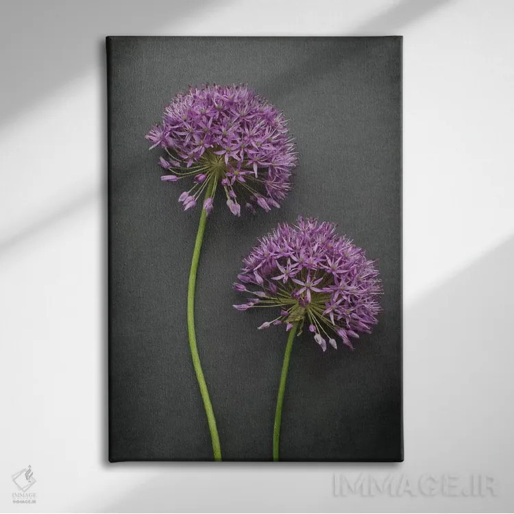 تابلو دکوراتیو آلیوم اثر آلیسون فنل - نمای روبهرو روی دیوار