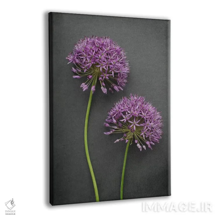 تابلو دکوراتیو آلیوم اثر آلیسون فنل - نمای پرسپکتیو محصول