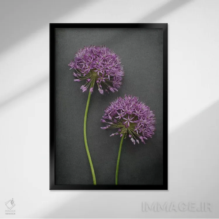 تابلو دکوراتیو آلیوم اثر آلیسون فنل - نمای قابدار مشکی