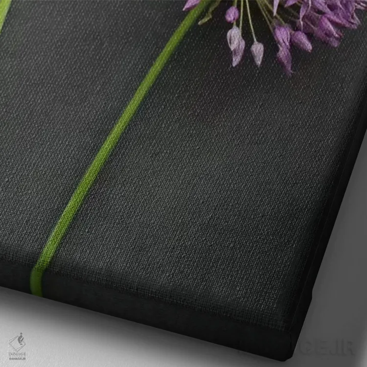 تابلو دکوراتیو آلیوم اثر آلیسون فنل - نمای نزدیک بافت بوم