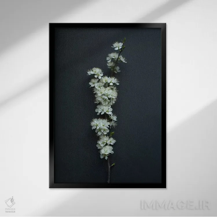 تابلو دکوراتیو شکوفه آلوچه ای اثر آلیسون فنل - نمای قابدار مشکی