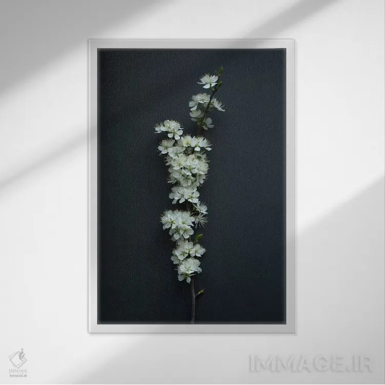 تابلو دکوراتیو شکوفه آلوچه ای اثر آلیسون فنل - نمای قابدار سفید