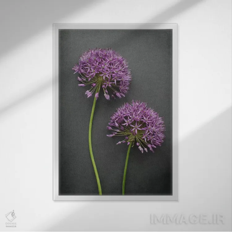 تابلو دکوراتیو آلیوم اثر آلیسون فنل - نمای قابدار سفید