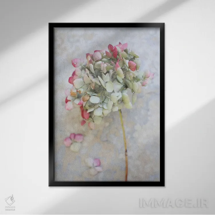 تابلو دکوراتیو ادریسی خشک پاستلی ۱ اثر آلیسون فنل - نمای قابدار مشکی