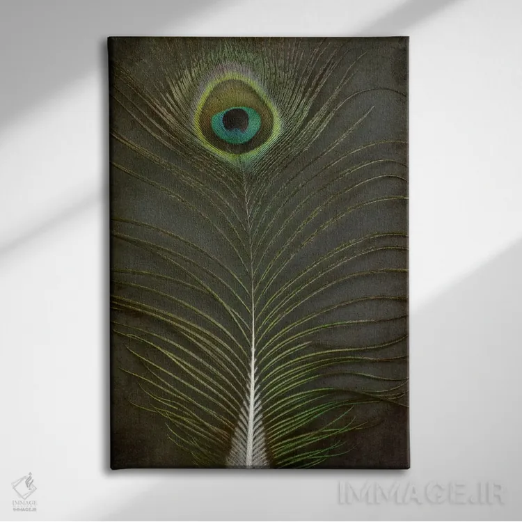 تابلو دکوراتیو پر طاووس ۲ اثر آلیسون فنل - نمای روبهرو روی دیوار