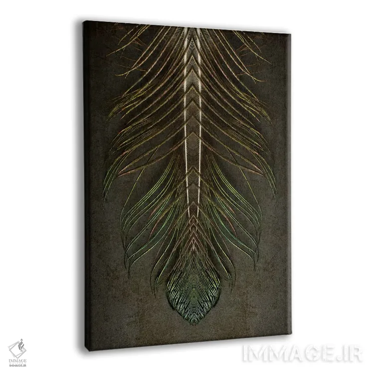 تابلو دکوراتیو تقارن پر طاووس فرشته مقرب اثر آلیسون فنل - نمای پرسپکتیو محصول