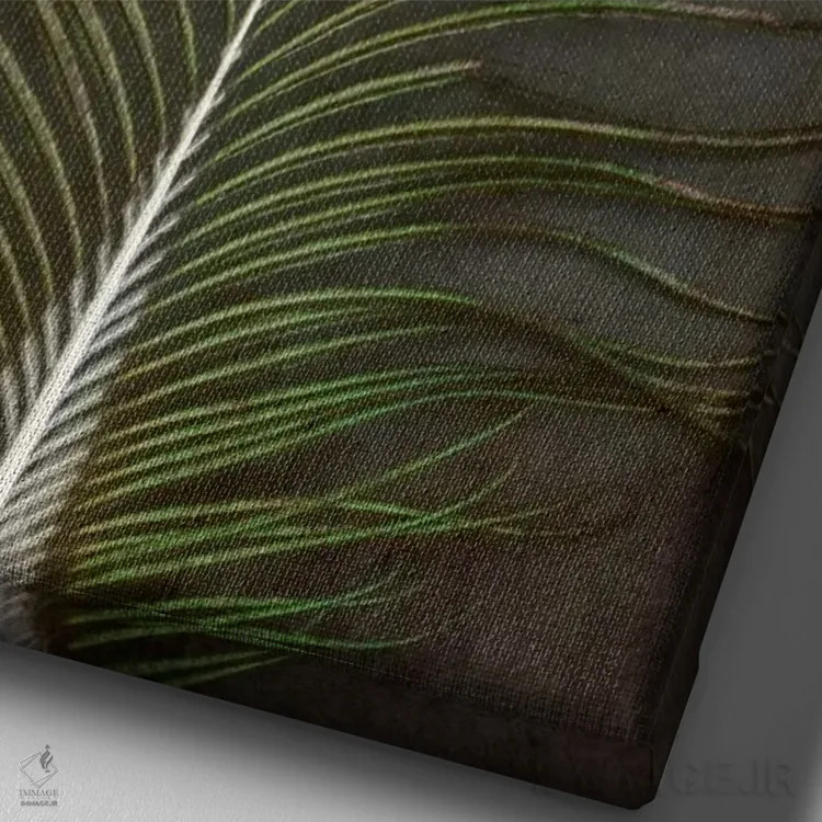 تابلو دکوراتیو پر طاووس ۲ اثر آلیسون فنل - نمای نزدیک بافت بوم