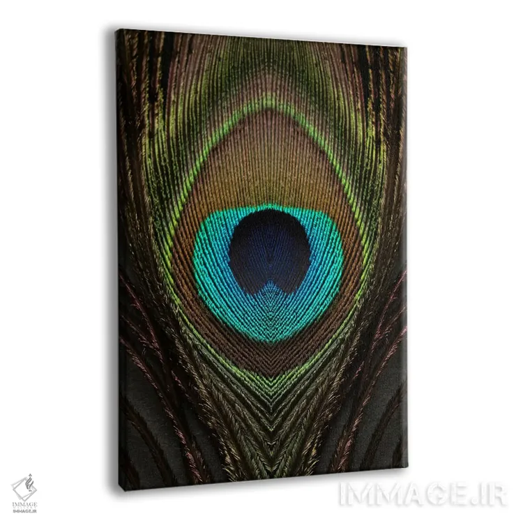 تابلو دکوراتیو تقارن پر طاووس ۱ اثر آلیسون فنل - نمای پرسپکتیو محصول