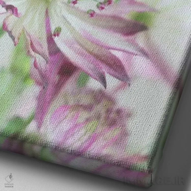 تابلو دکوراتیو گل های آسترنتیا صورتی پاستلی اثر آلیسون فنل - نمای نزدیک بافت بوم