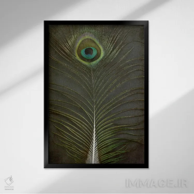 تابلو دکوراتیو پر طاووس ۲ اثر آلیسون فنل - نمای قابدار مشکی