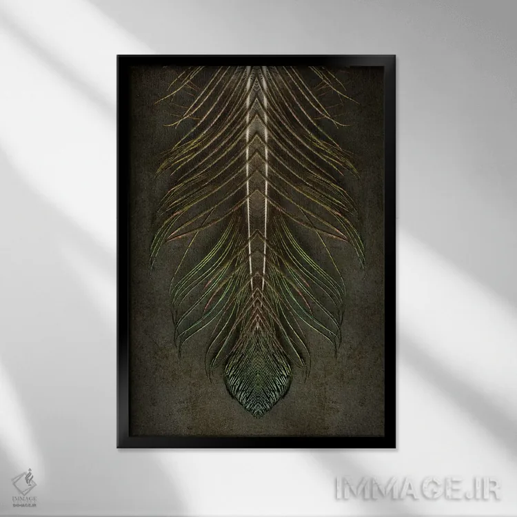 تابلو دکوراتیو تقارن پر طاووس فرشته مقرب اثر آلیسون فنل - نمای قابدار مشکی