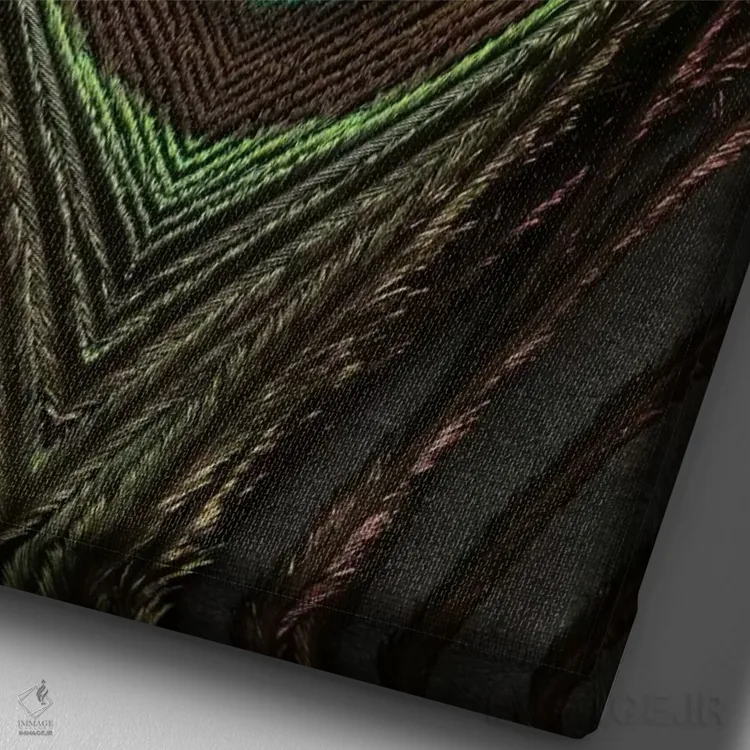 تابلو دکوراتیو تقارن پر طاووس ۱ اثر آلیسون فنل - نمای نزدیک بافت بوم