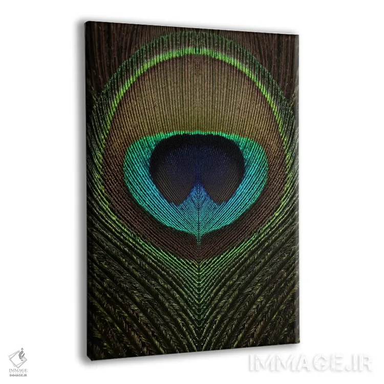 تابلو دکوراتیو تقارن پر طاووس ۳ اثر آلیسون فنل - نمای پرسپکتیو محصول